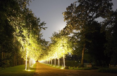 SG-WH Allee Web